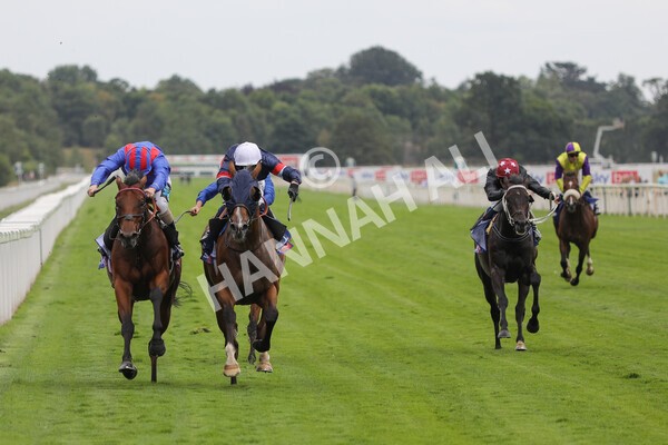 yr23072022r3-21 - Race 3 3.15pm Sky Bet York Stakes