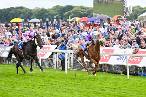 240824-Race 1-See The Fire-0983 - Race 1 1.50pm Sky Bet Strensall Stakes