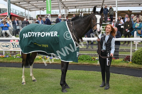 yr13052022r3-50 - Race 3 3.00pm Paddy Power 'I Love Steak' Stakes
