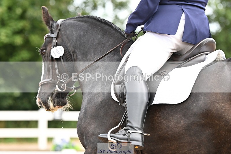 240817A-110829-07294 - 101-Chloe.Walton-La.Comtesse.Noire