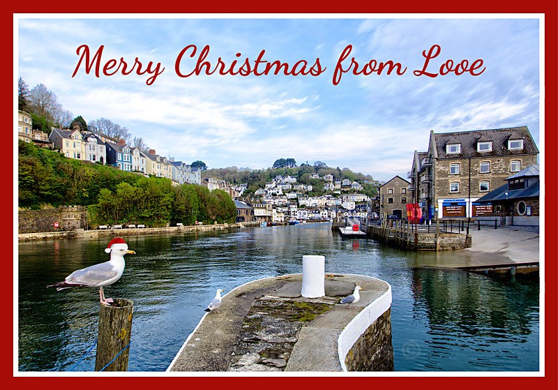 XM011 - Early morning view of The River Looe and a festive seagull - XMAS CARDS Looe Polperro and General Cornwall