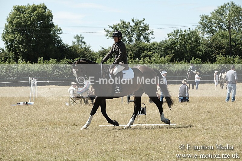 _PJP5915 - Dressage Classes BVRC Show 2018