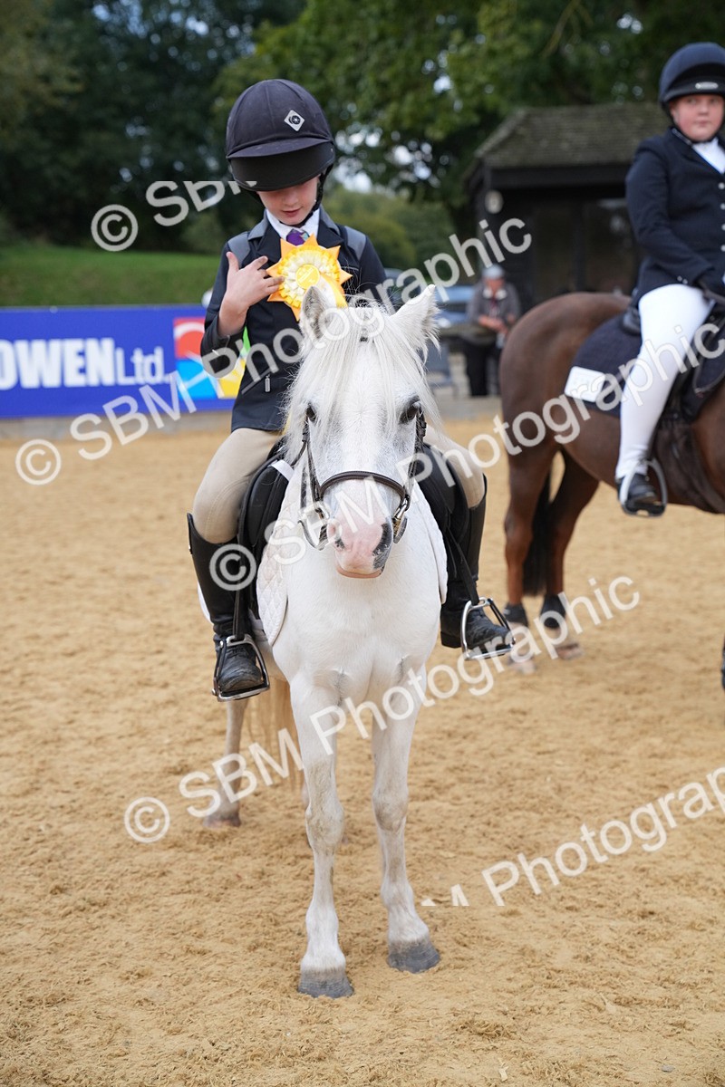 SBM_74931 - J4 - Mini Tour Junior Pony 45cm Championship
