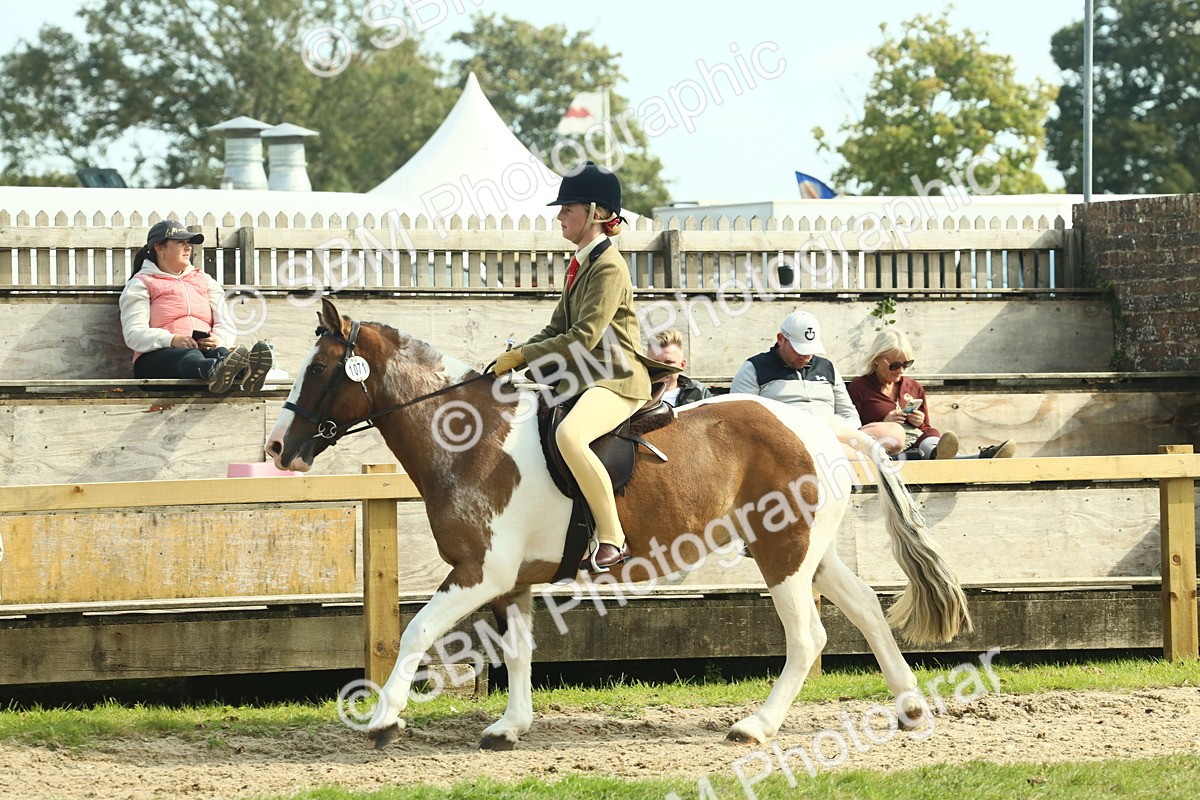 SBM_67652 - S56 - Coloured Pony Ridden