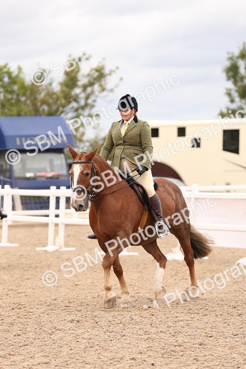 SBM_19556 - Class 215 - Ridden Show cob