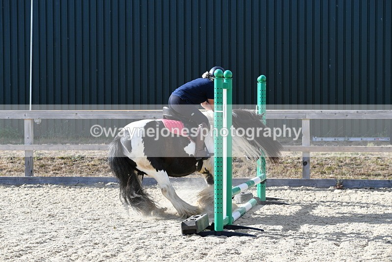 WJ5_5908 - Poles off the floor