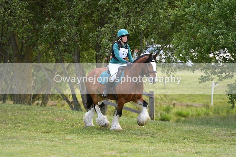 WJ5_2646 - Class 2 40cm