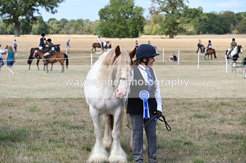 WJ6_6752 - Class 20 In-hand Cob