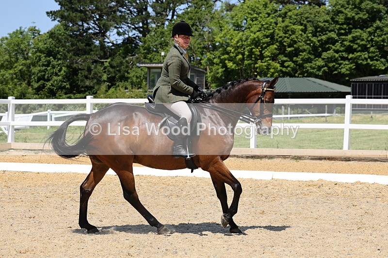 1X9A1829 - Class 12: Ridden Riding Horse/Hack