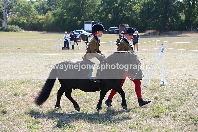 WJ6_7446 - Class 34 Judges Choice