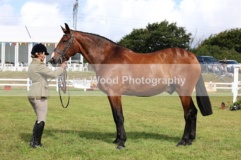 3E7A9501 - Class 4: Rising Star M/H Hunter