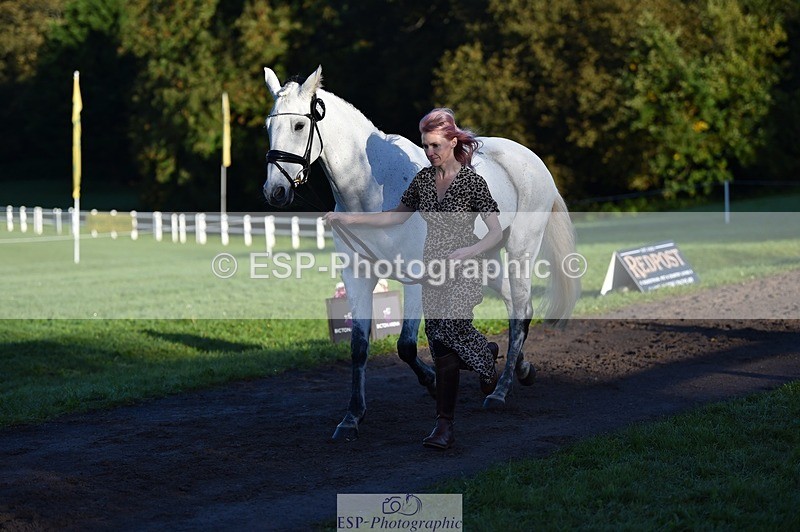 231022-090432-21547 - 616-HER.NAME.IS.LOLA-Emma.Farrar-TrotUp+SJ