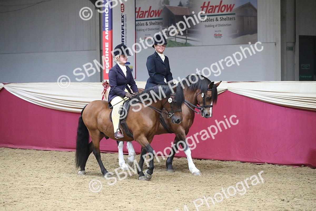 SBM_13633 - Class 109 Ridden Pairs - Section B