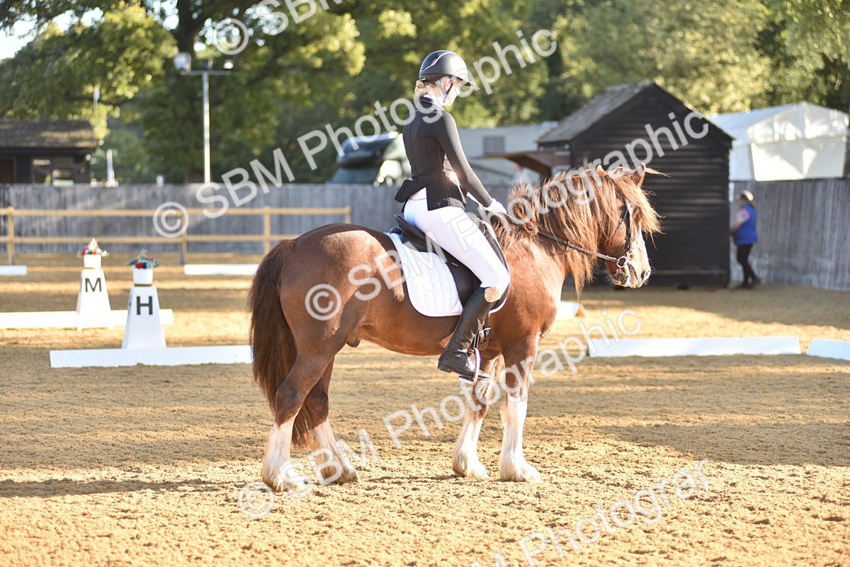 SBM_15704 - D4 - Small Tour Championship Intro 4
