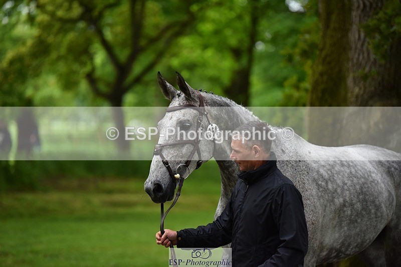 240522-152440-00319 - 354-COOLEY_STIRLING-Andrew_James