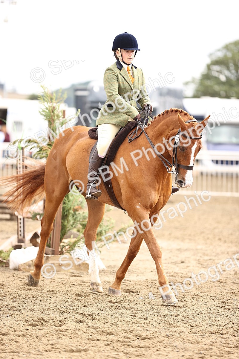 SBM_00659 - Class 53 - Ridden Competition Horse Pony