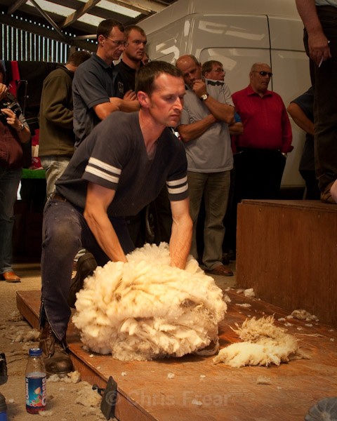30 - Shearing Competition
