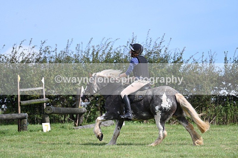 WJ7_6232 - Time 11:29 to 11:45