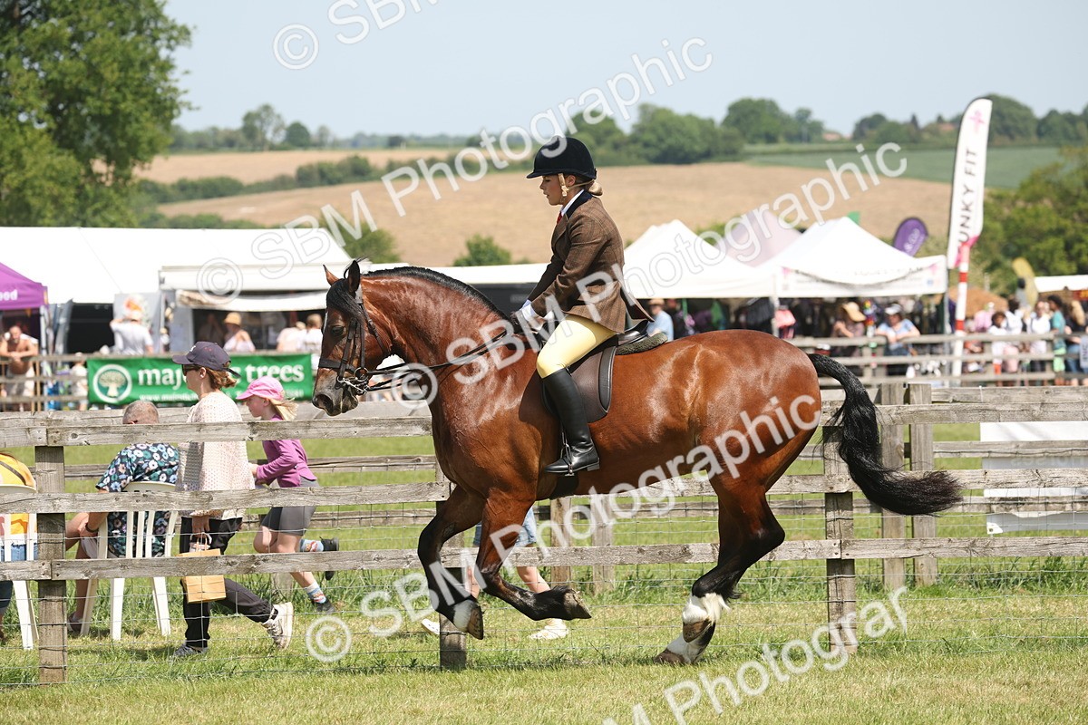 SBM_06954 - Class 26-30 - Mountain and Moorland Ridden
