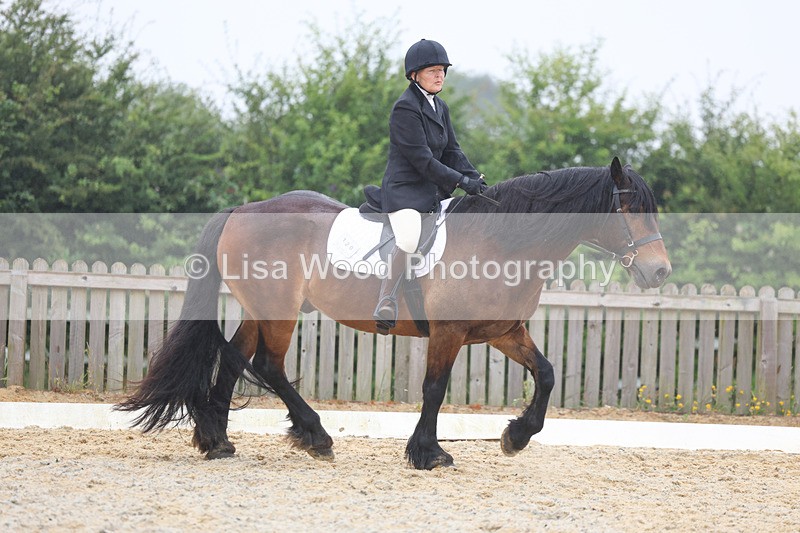 3E7A8156 - Class 1: Intro 3 2024 section A