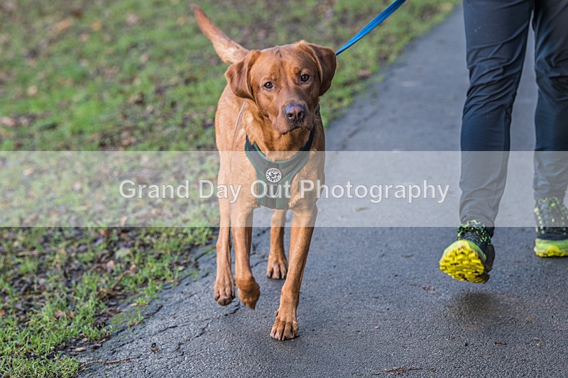 Loopy Latrigg-48 - Kong Running Loopy Latrigg Fell Race Saturday 20th December 2025