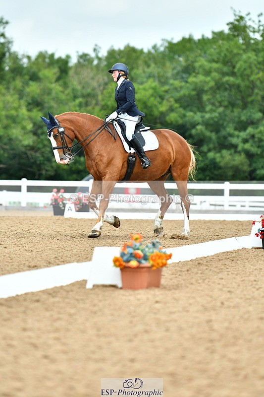 230701A-130119-06200 - Cls 8 Elementary 57