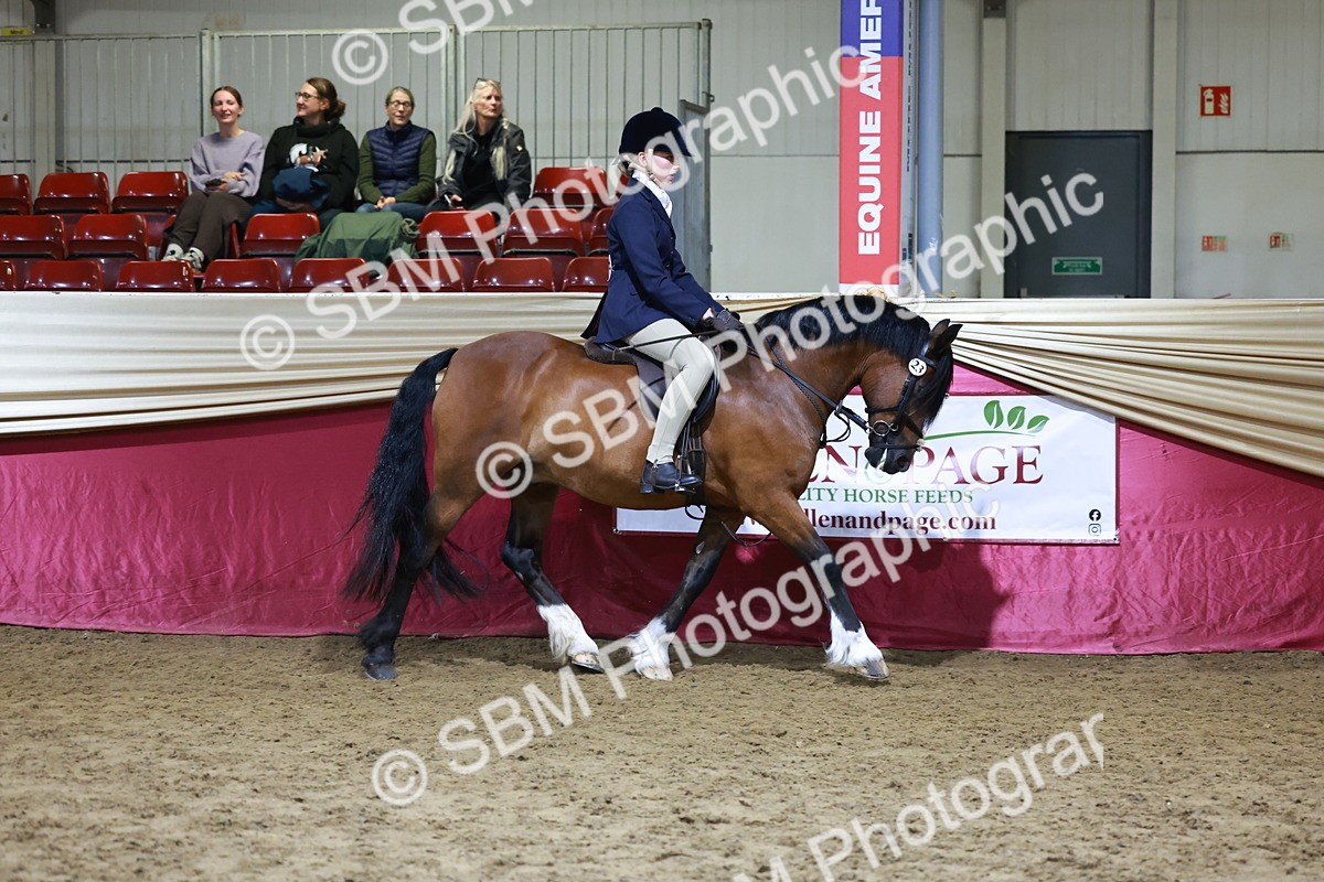 SBM_21355 - Class T - Working Veteran Champs