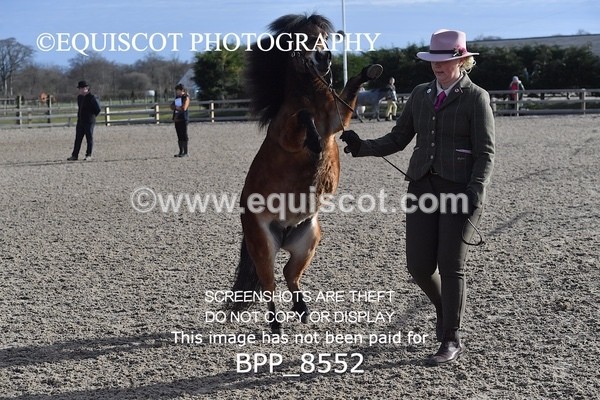 BPP_8552 - RING 2 - M&M