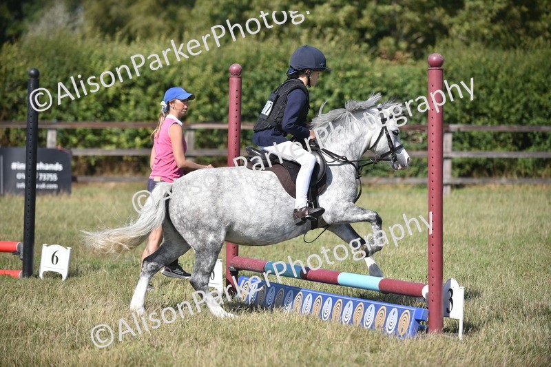 20260906-1376 - Class 8 - Hoof and Foot