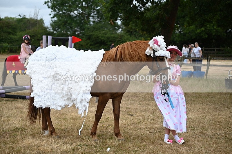 WJ6_8768 - Class 11 Fancy Dress