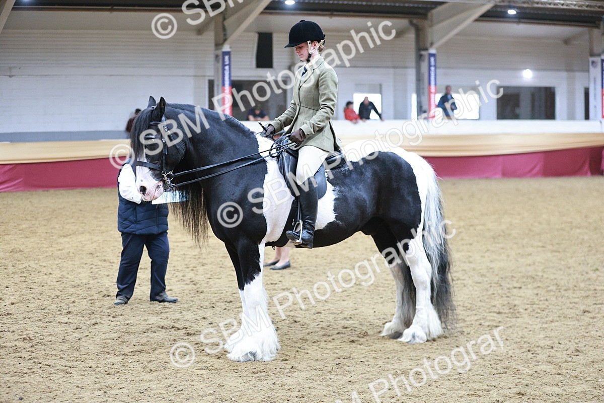 SBM_08901 - Class 12R - Regional Ridden Pre-Vet