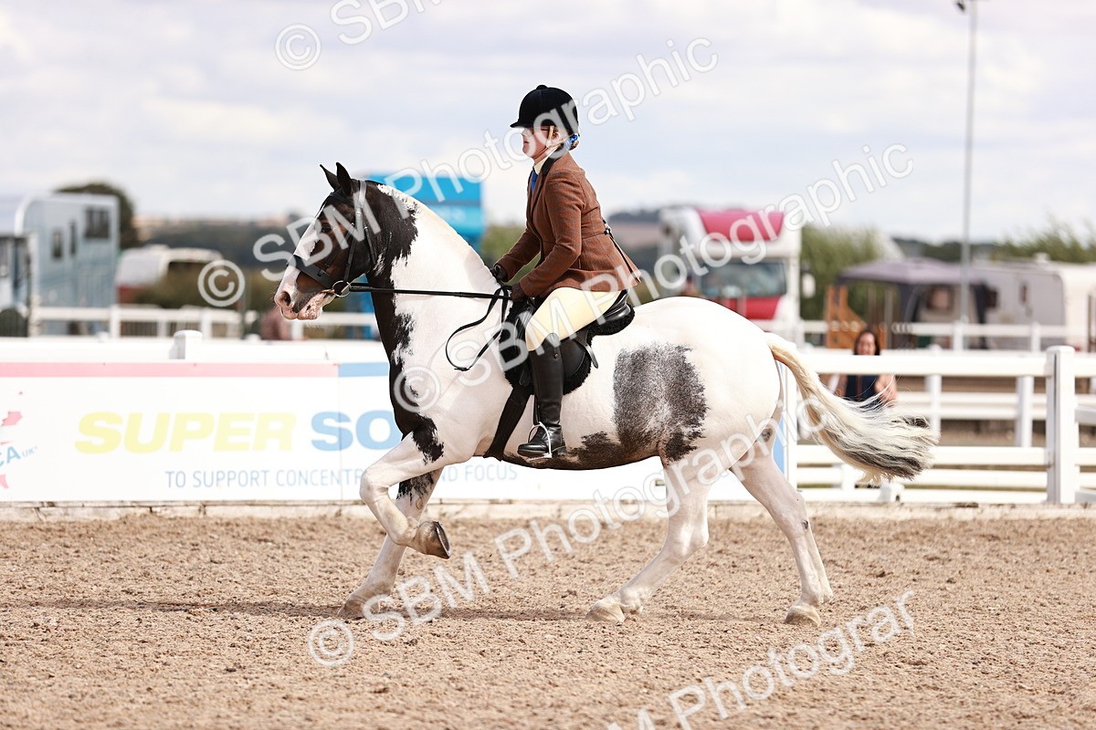 SBM_14478 - Class 410 - Grassroots Ridden - Horse