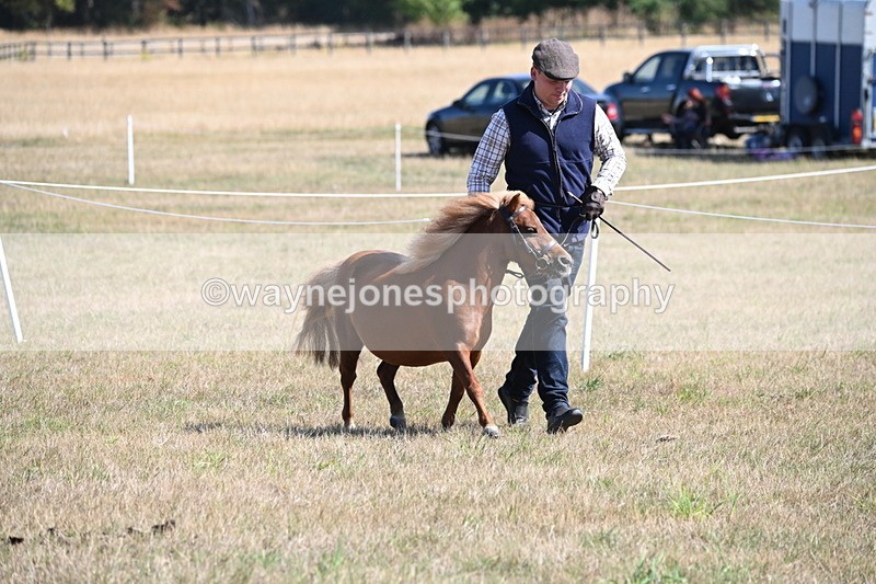WJ6_4610 - Class 17 Mountain & Moorland