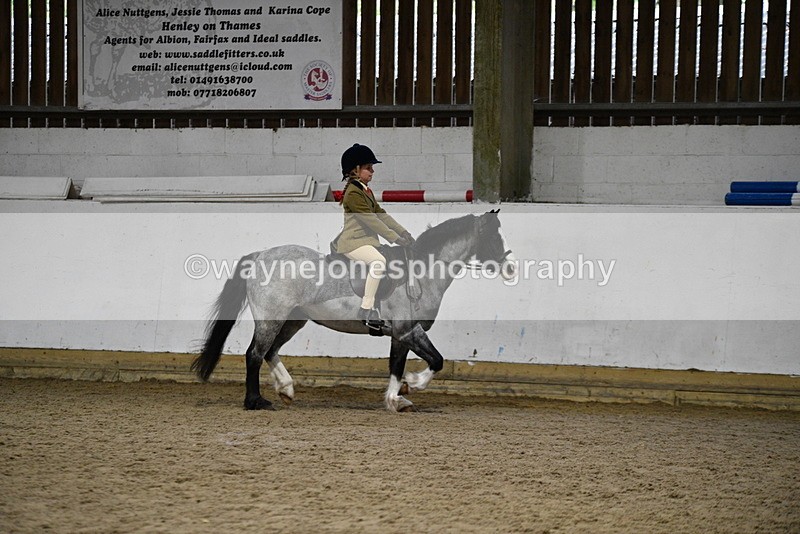 WJ5_8303 - Class 14 Novice Ridden/Rider