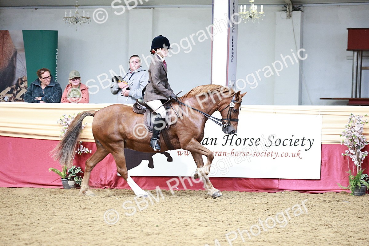 SBM_02241 - Class 4A - Area Ridden Diamond