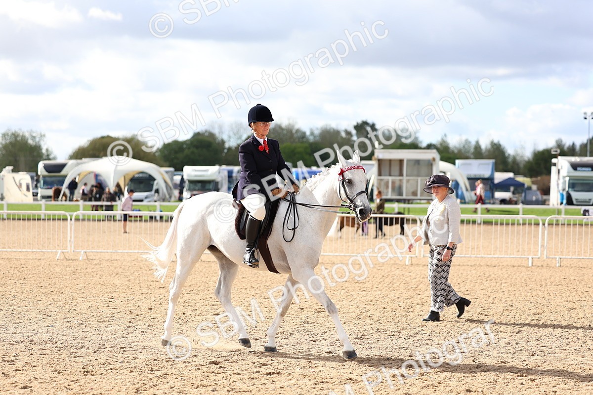 SBM_10121 - Class 304 - Ridden Part Bred Horse Pony