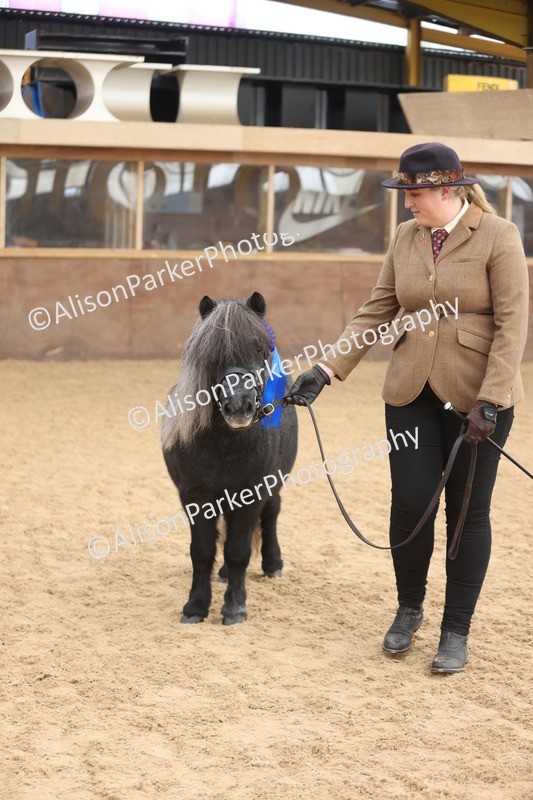 20251109-0061 - Class 3 - 2 and 3 Year Old