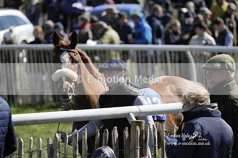 PtP 100423 570 - Old Berkshire Point-to-Point Lockinge 10/04/23