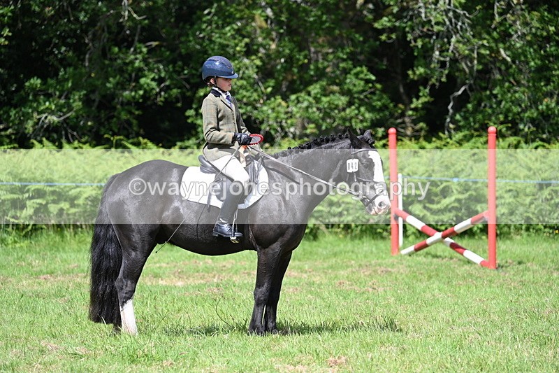 WJ7_1800 - Class 9 Pony Club Pony