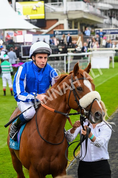190523-Race 3-Marhaba The Champ-0424 - Race 3 3.00pm Knights Solicitors Handicap