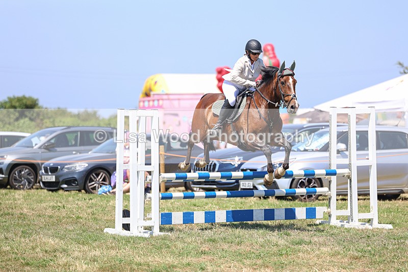 3E7A4341 - Class 10: Senior British Novice/90cm open