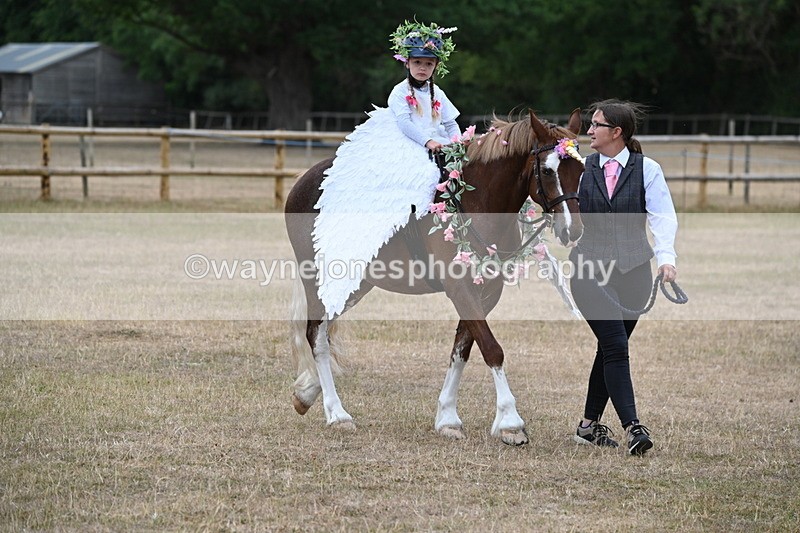 WJ6_8595 - Class 11 Fancy Dress