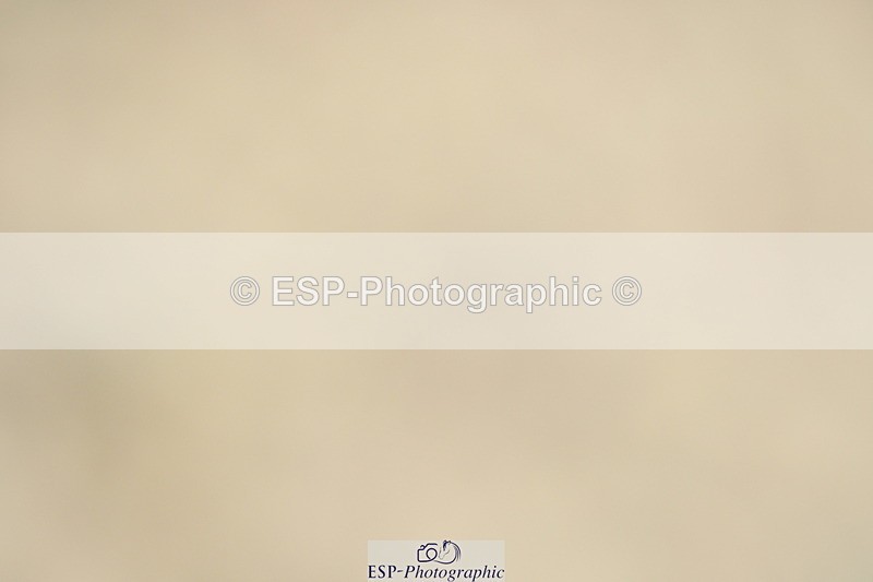 230701A-113808-04996 - Cls 9 Music Elementary