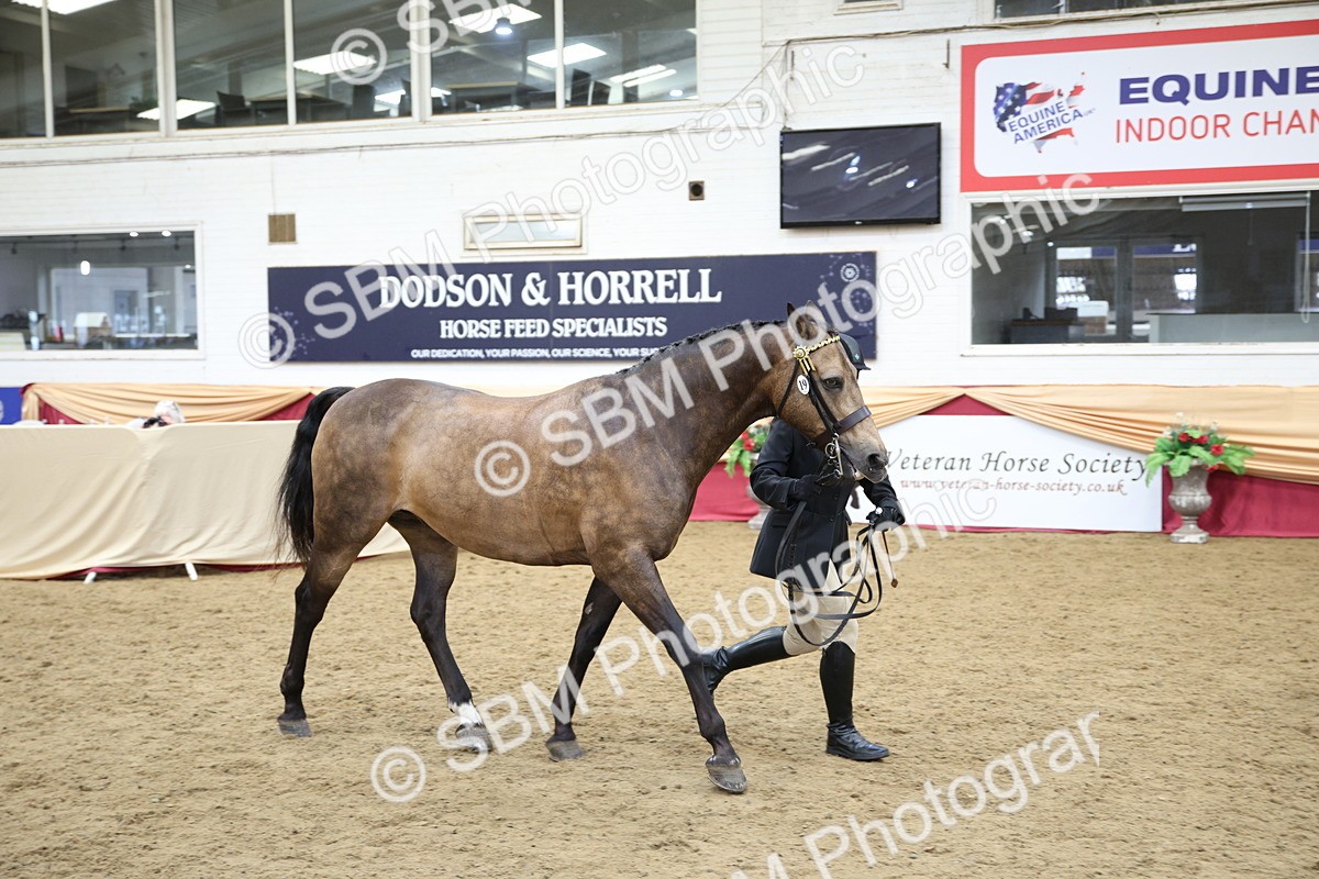 SBM_24724 - Class 906 - Supreme Final - Ridden Pre Vet