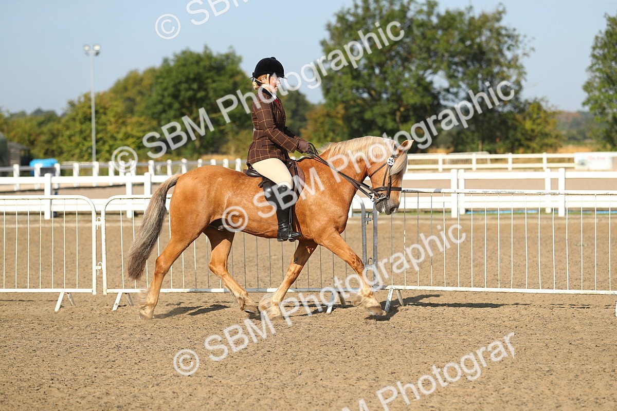 SBM_01120 - Class 42 Ridden Veteran
