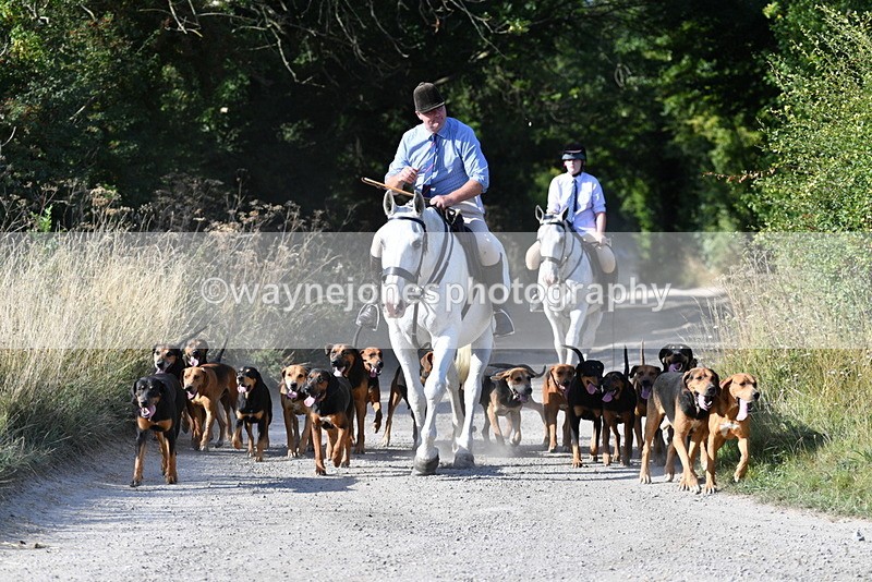 WJ5_4794 - Walk out with the hounds
