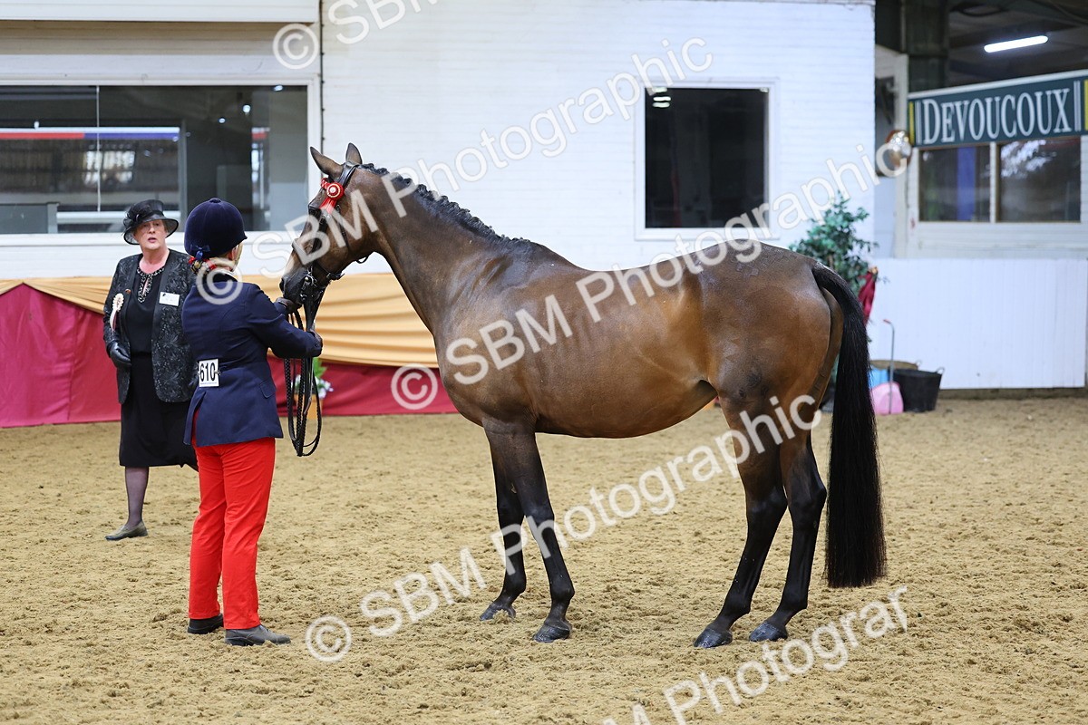 SBM_21091 - Class 902 - Supreme Final IH Veteran