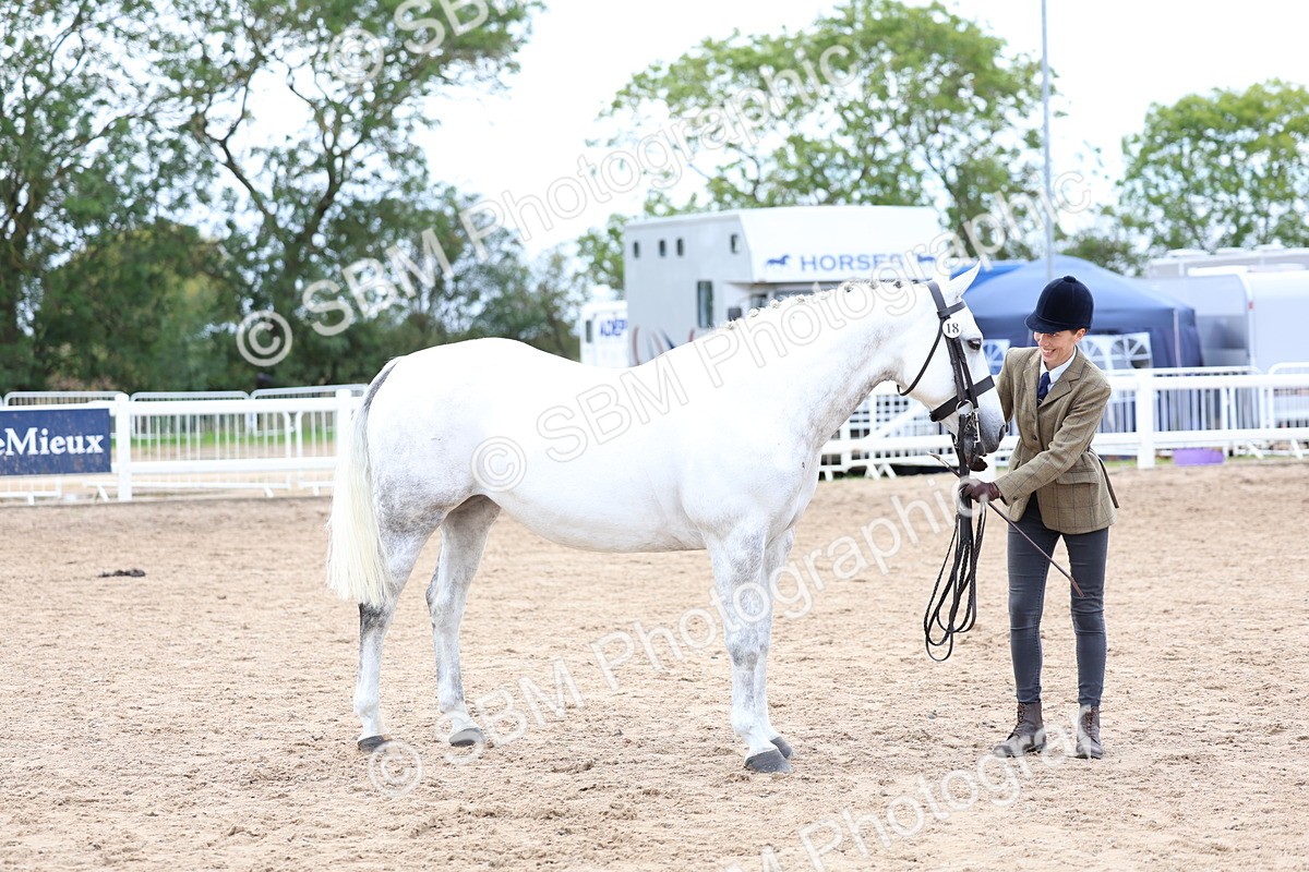 SBM_05761 - Class 28 - IH Veteran Horse
