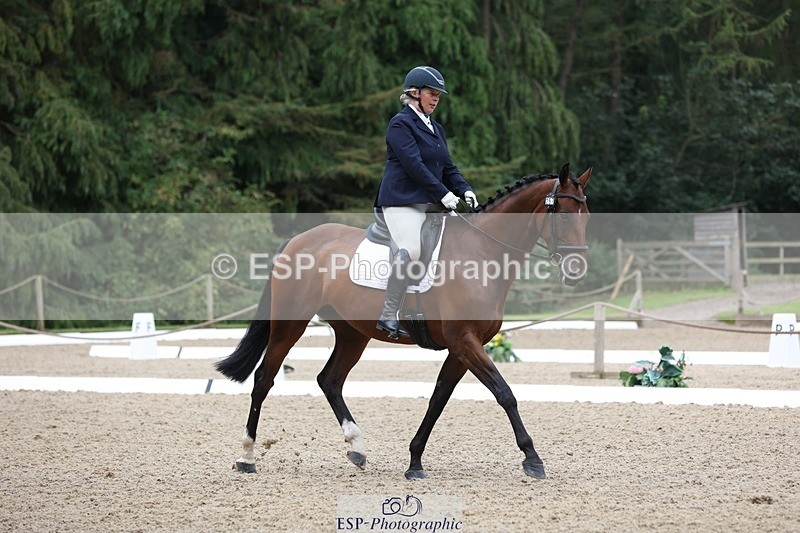 230812-095129-03044 - Cls 5 Novice Bronze Start to 10.55 break