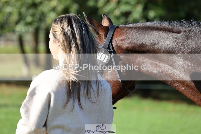 241027-100425-15672 - 511-Rosie.Doe-LOUIS